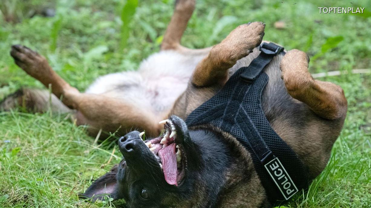 Image d'illustration © TopTenPlay