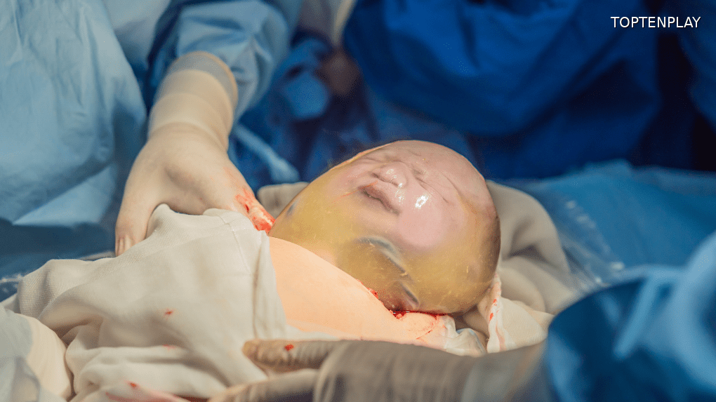 Image d'illustration © TopTenPlay