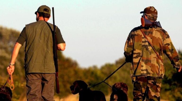 accident Accidents de chasse alimentation variee faits divers injustice tragédie