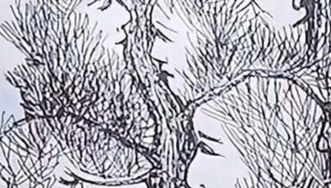 cerveau Défis visuels deux visages illusion cerveau perception psychologie