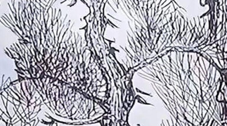 Ce phénomène étrange de votre cerveau qui vous fait voir des visages partout : trouvez-vous les 14 cachés dans cette image ? cerveau Défis visuels deux visages illusion cerveau perception psychologie