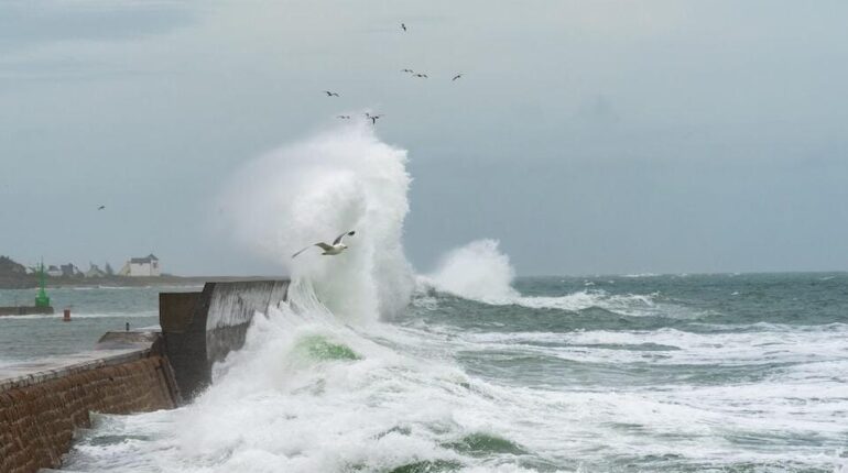 Rafales à 100 km/h ce week-end : voici les 3 départements bretons qui subissent déjà les effets de Mélissa accusent la France Actualités animales Aventure Bretagne Météo Orages