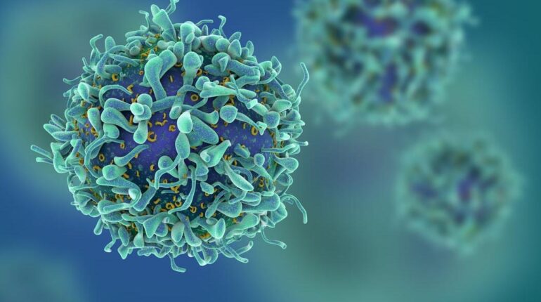 La révélation des oncologues sur le stress qui interroge : « Aucune étude ne l’exclut formellement… » bien être Boissons énergisantes cancer eviter le stress Oncologie Recherche de personnes