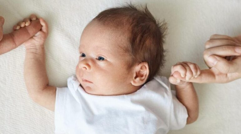 Congé de naissance Congé parental Droits des parents famille Législation Sénat