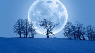 Astrologie Bélier Finances personnelles Gémeaux les images d’un taureau Pleine Lune Signes astrologiques Verseau