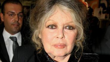 12 célébrités qui ont pu se réincarner sans même s’en rendre compte accusent la France Actualités animales Actualités people Boissons énergisantes Brigitte Bardot