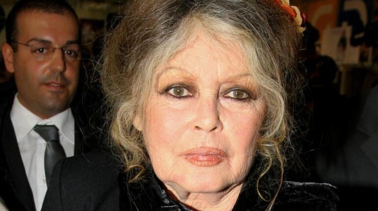 12 célébrités qui ont pu se réincarner sans même s’en rendre compte accusent la France Actualités animales Actualités people Boissons énergisantes Brigitte Bardot