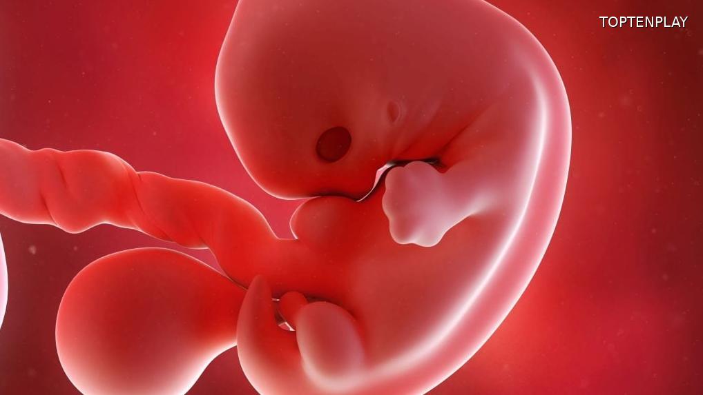 Image d'illustration © TopTenPlay