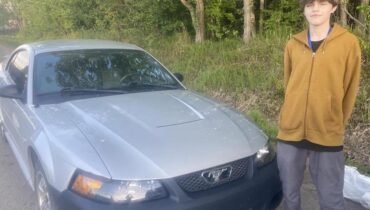 Actualités animales États-Unis famille injustice Jeux de société légitime défense Mustang