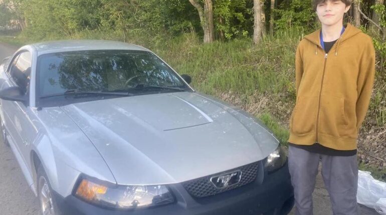 Actualités animales États-Unis famille injustice Jeux de société légitime défense Mustang