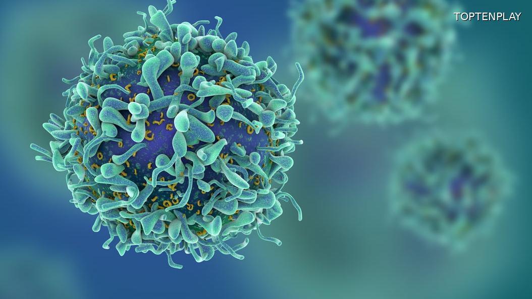 Image d'illustration © TopTenPlay