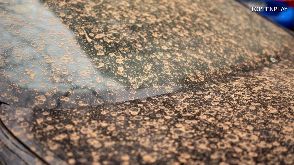 Image d'illustration © TopTenPlay