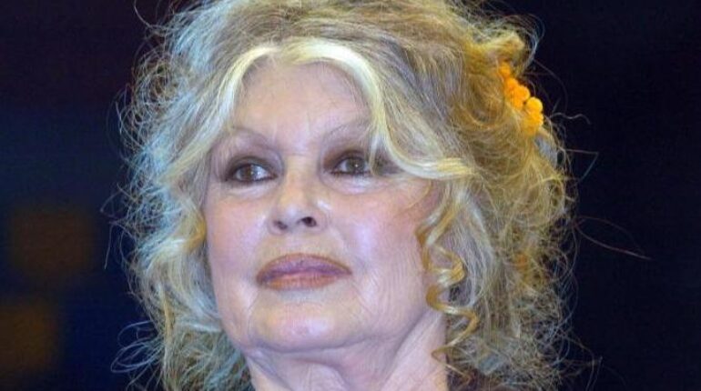 Brigitte Bardot, 91 ans : « Après l’opération lourde, nous ne savons pas… » Actualités animales Actualités people Boissons énergisantes Brigitte Bardot Cinéma