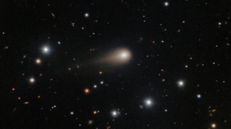 Comètes Découvertes Espaces publics Gastronomie Neurosciences Origine interstellaire Signal radio