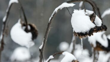 accusent la France Chutes de neige Hiver Météo Neige Prévisions météo