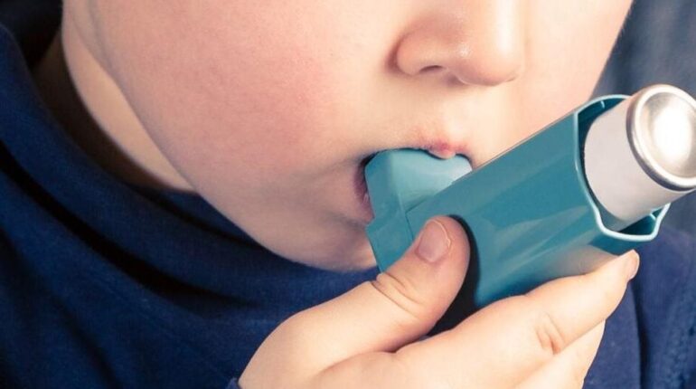 Actualités animales Boissons énergisantes deuil familial enfance Poissy tragédie