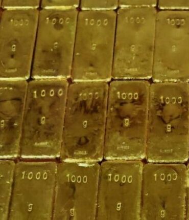 700 000 euros cachés dans son jardin : ce qu&rsquo;il découvre au premier coup de pelle va changer sa vie