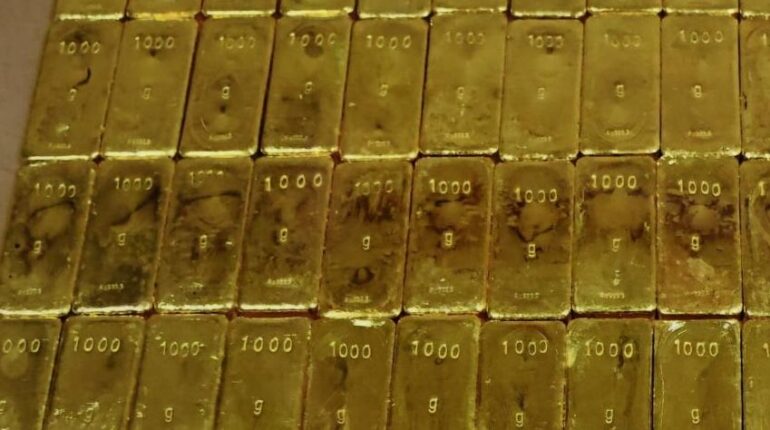 700 000 euros cachés dans son jardin : ce qu’il découvre au premier coup de pelle va changer sa vie Argent liquide découverte Entretien Jardin faits divers Lyon Neuville-sur-Saône Trésor public