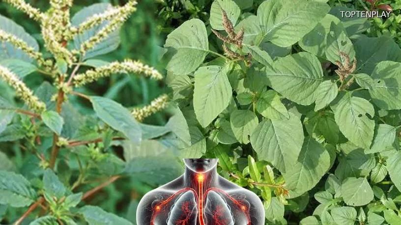 Symbolbild © TopTenPlay