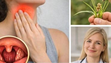 Ayurveda bien être Digestion Équilibre hormonal Médecines traditionnelles Métabolisme Plantes médicinales