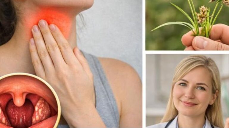 Ayurveda bien être Digestion Équilibre hormonal Médecines traditionnelles Métabolisme Plantes médicinales