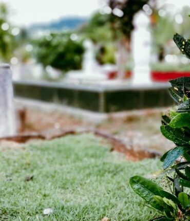 Blagnac : un corps momifié des années 1970 découvert dans un cimetière, voici pourquoi il était si bien conservé