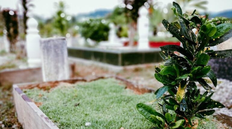 Blagnac : un corps momifié des années 1970 découvert dans un cimetière, voici pourquoi il était si bien conservé Actualités animales Actualités insolites Archéologie Blagnac faits divers Momification