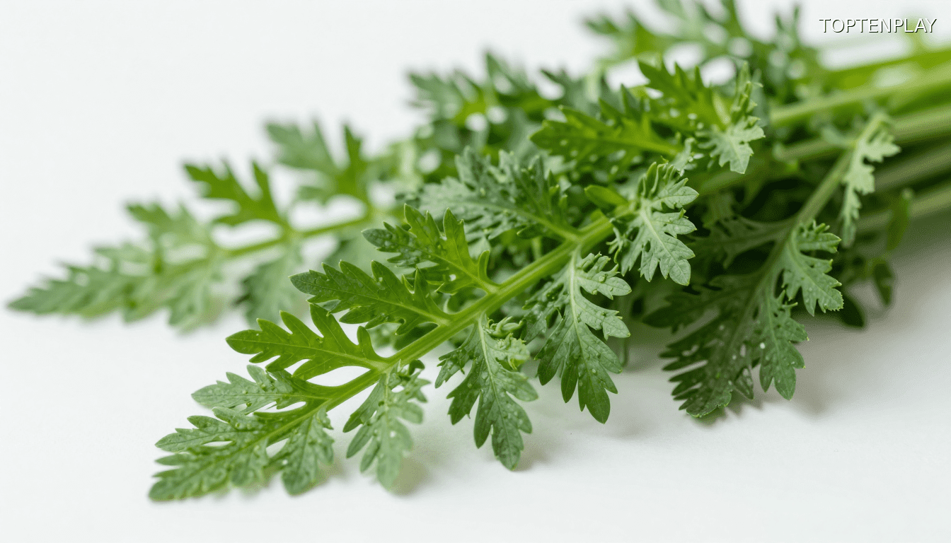 Symbolbild © TopTenPlay