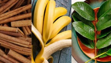 Alimentation saine bien être Circulation sanguine glycémie Plantes médicinales Remèdes naturels Tension artérielle