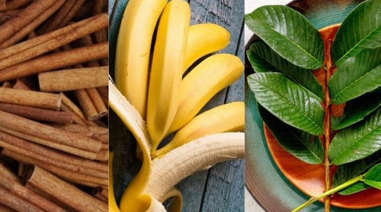 Alimentation saine bien être Circulation sanguine glycémie Plantes médicinales Remèdes naturels Tension artérielle