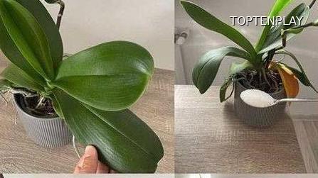 Symbolbild © TopTenPlay