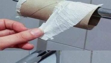 Alternatives durables Bidet Eau et savon environnement Hygiène alimentaire Papier toilette Toxicité