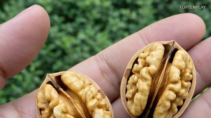 Symbolbild © TopTenPlay