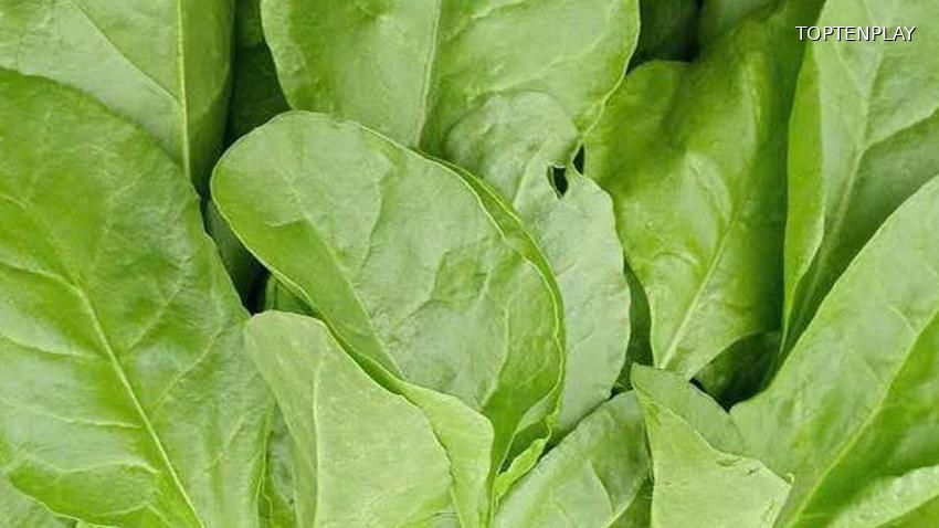 Symbolbild © TopTenPlay