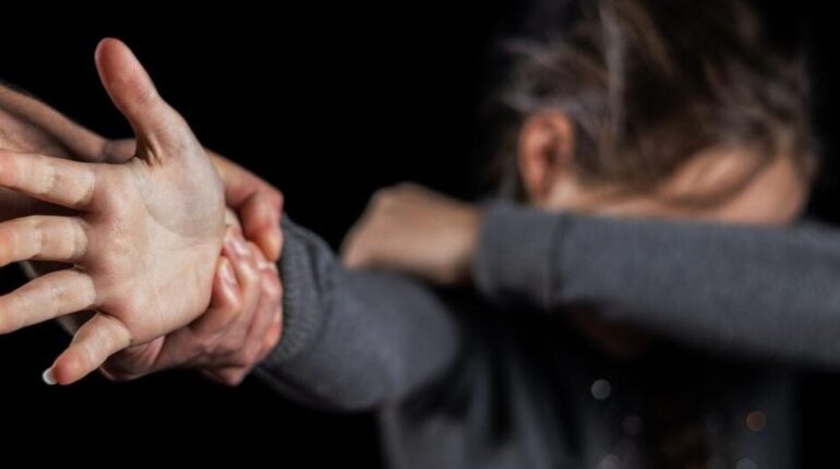 TGV Lille-Nîmes : une mère interpellée après avoir étranglé son fils de 6 ans devant les passagers accusent la France Actualités animales allaité trois enfants Débat société faits divers TGV violence