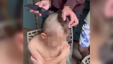 caseum Éducateurs faits divers paris Foyer d'accueil injustice Maltraitance Animale Protection de l'enfance