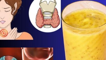 Endurance physique Énergie masculine Gingembre Noix de kola amère Remèdes naturels Vitalité