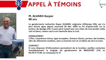 Appel à témoins Ce chien disparition Haute-Savoie Personne disparue