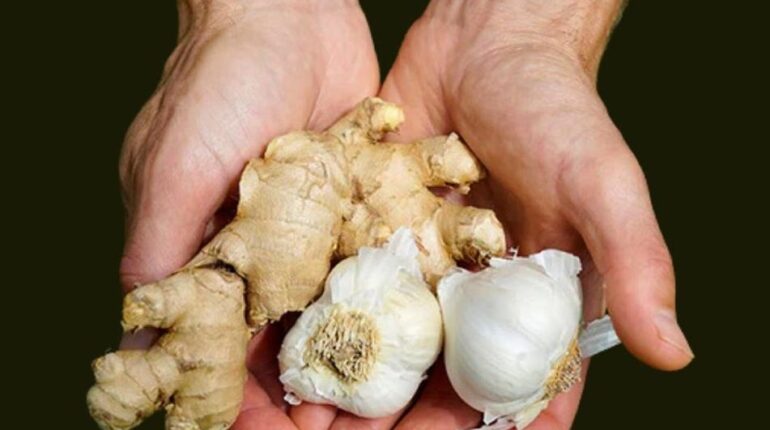 Accident du travail Bienfaits santé Digestion Gingembre Immunité Remèdes naturels