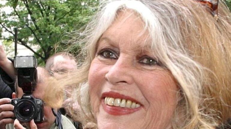 Brigitte Bardot hospitalisée à 91 ans : son message depuis Toulon qui rassure ses admirateurs Actualités animales Actualités people Boissons énergisantes Brigitte Bardot Fondation Bardot
