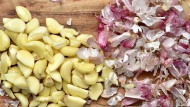 Agriculture biologique Astuces jardin Cauchemar en cuisine Compost Jardinage LE RECYCLAGE. Plantes Amazoniennes