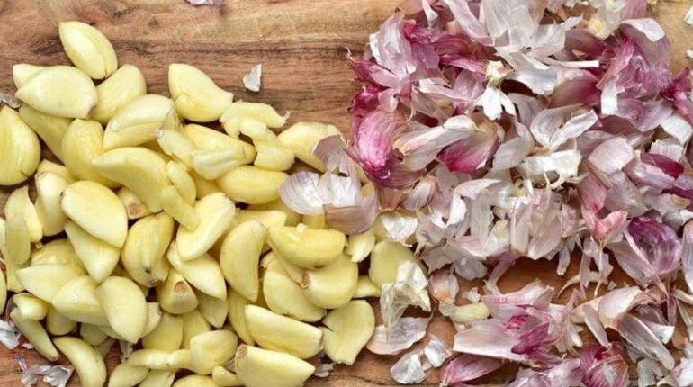 Agriculture biologique Astuces jardin Cauchemar en cuisine Compost Jardinage LE RECYCLAGE. Plantes Amazoniennes