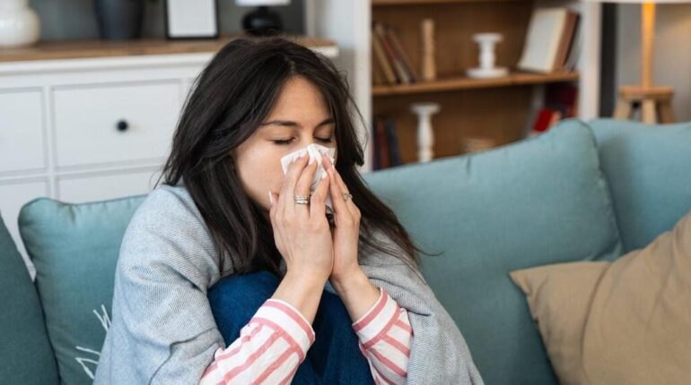 accusent la France Actualités animales Boissons énergisantes Coronavirus épidémie grippe
