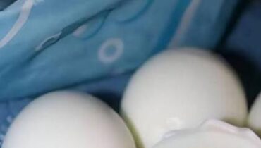 Alimentation saine Bienfaits santé Cauchemar en cuisine Nutrition enfant Séparateur d’œufs