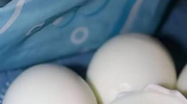 Alimentation saine Bienfaits santé Cauchemar en cuisine Nutrition enfant Séparateur d’œufs