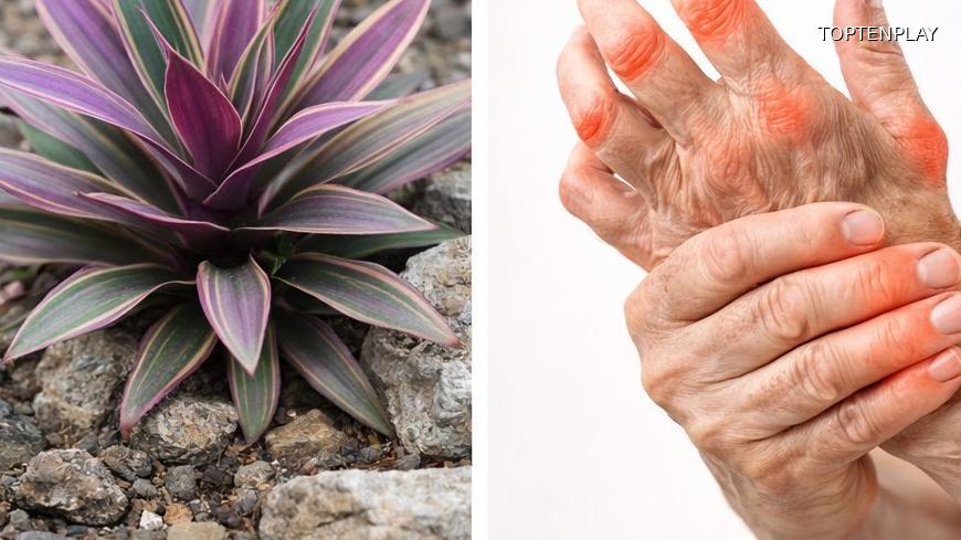 Symbolbild © TopTenPlay