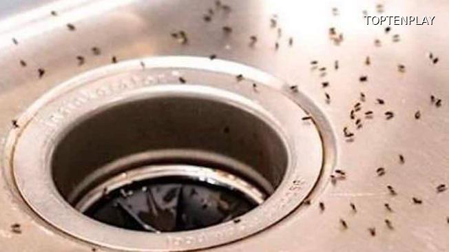 Symbolbild © TopTenPlay