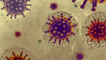 accusent la France Boissons énergisantes Coronavirus épidémie MERS-CoV