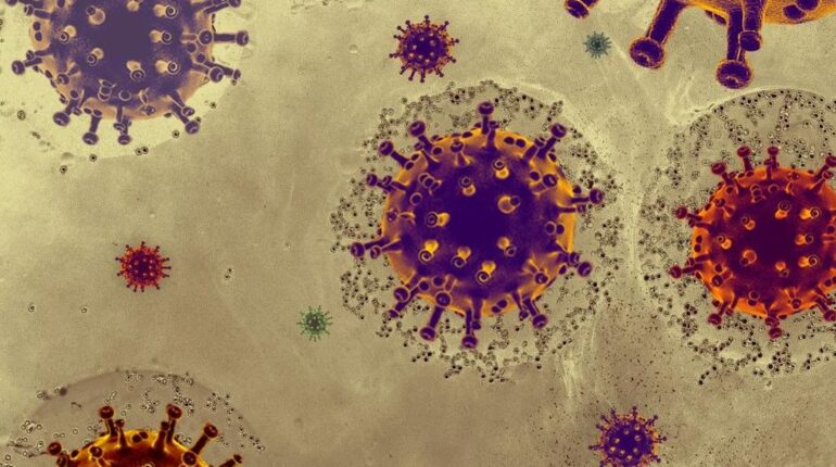 accusent la France Boissons énergisantes Coronavirus épidémie MERS-CoV