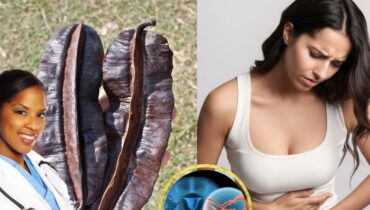 Bien-être féminin Équilibre reproducteur Fruit Aidan Gombo Goyave Plantes médicinales Traditions ancestrales